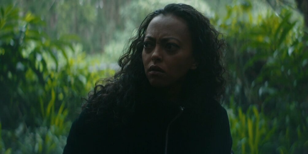 Image 1 Après 6 Zèr