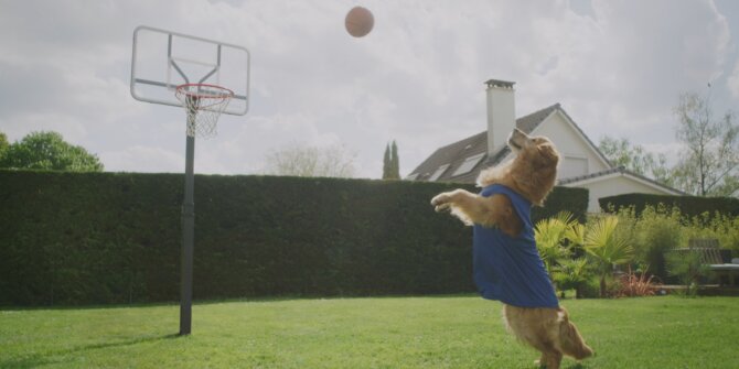 Golden retriever en maillot sautant vers un ballon de basket dans un jardin – pub TV Promovacances Le chien